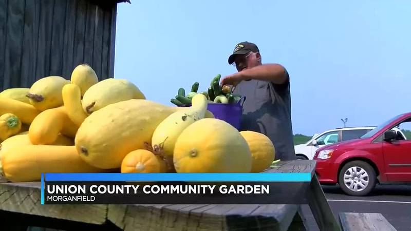 Union Co. couple harvested produce for senior center