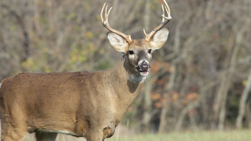 Indiana Hunt for Hunger event aiming to feed hungry Hoosiers