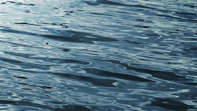 Police investigating after swimmer found dead at Borah Lake in Olney - Vimarsana News