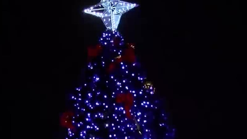 Owensboro Christmas tree lighting ceremony held at Smothers Park